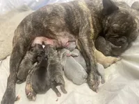 processed/911f4142-1d78-4a48-99d5-67992b513065/facility/a84eda67-b6cd-4259-b254-88e4cf5c060c