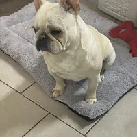 processed/911f4142-1d78-4a48-99d5-67992b513065/facility/a8ccec57-0449-4a40-8c90-015b2c0f7a6d