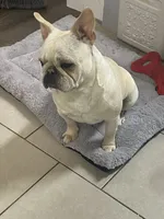 processed/911f4142-1d78-4a48-99d5-67992b513065/facility/a8ccec57-0449-4a40-8c90-015b2c0f7a6d