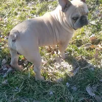 processed/911f4142-1d78-4a48-99d5-67992b513065/facility/a98d008c-3289-4111-b8d0-4615af1e8b9e