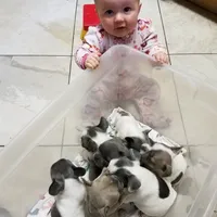 processed/911f4142-1d78-4a48-99d5-67992b513065/facility/b36d2aaa-5dfc-480f-997b-2c6dac5e5373