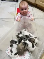 processed/911f4142-1d78-4a48-99d5-67992b513065/facility/b36d2aaa-5dfc-480f-997b-2c6dac5e5373