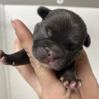 processed/911f4142-1d78-4a48-99d5-67992b513065/facility/d7d09a89-fe3e-40af-904e-d98d56c71e33