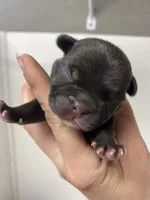 processed/911f4142-1d78-4a48-99d5-67992b513065/facility/d7d09a89-fe3e-40af-904e-d98d56c71e33