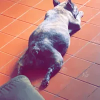 processed/911f4142-1d78-4a48-99d5-67992b513065/facility/ebc77aef-07d1-41d2-8fc7-9ab1bb11ecf0