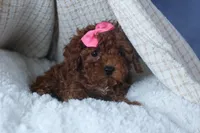 processed/9127ef0f-f517-4913-b7cd-c6d0c7b4a6c6/listing/20938af5-2aed-4b88-a95b-f36c9779dad2/58844d2d-980b-404a-ad8a-d3a0bc6eed12