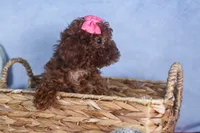 processed/9127ef0f-f517-4913-b7cd-c6d0c7b4a6c6/listing/20938af5-2aed-4b88-a95b-f36c9779dad2/68fb5321-72d1-4f5d-bf78-12a287bd42b5