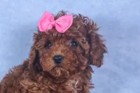 processed/9127ef0f-f517-4913-b7cd-c6d0c7b4a6c6/listing/20938af5-2aed-4b88-a95b-f36c9779dad2/77e40425-b8fb-4948-934c-0e0dcff75671