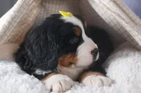 processed/9127ef0f-f517-4913-b7cd-c6d0c7b4a6c6/listing/3bc131c8-1d8e-41da-a315-538a79206538/da41bae1-a774-45f6-9783-5de9a7e5b4c8