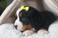 processed/9127ef0f-f517-4913-b7cd-c6d0c7b4a6c6/listing/3bc131c8-1d8e-41da-a315-538a79206538/f2bcb549-f532-4c19-9cbf-404480a7c2d8