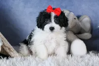 processed/9127ef0f-f517-4913-b7cd-c6d0c7b4a6c6/listing/4b343c47-8a7b-4c4d-8de9-ec2fd1a71558/021db88e-b25d-4e39-9c4e-ae024c7af902