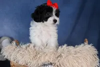 processed/9127ef0f-f517-4913-b7cd-c6d0c7b4a6c6/listing/4b343c47-8a7b-4c4d-8de9-ec2fd1a71558/27fd3031-c21d-4b93-b076-b809ef169336