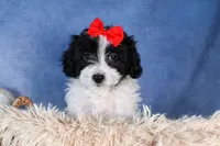 processed/9127ef0f-f517-4913-b7cd-c6d0c7b4a6c6/listing/4b343c47-8a7b-4c4d-8de9-ec2fd1a71558/7edd2820-ecfc-4f17-b990-a2ae2b7a8abb