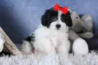 processed/9127ef0f-f517-4913-b7cd-c6d0c7b4a6c6/listing/4b343c47-8a7b-4c4d-8de9-ec2fd1a71558/7f3da462-a37d-4116-87df-19065d4e8f3d