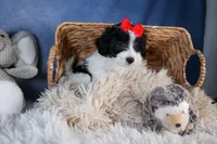 processed/9127ef0f-f517-4913-b7cd-c6d0c7b4a6c6/listing/4b343c47-8a7b-4c4d-8de9-ec2fd1a71558/93fae8f1-8656-4da6-b05c-38115125ca94