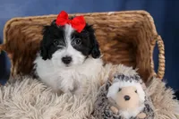 processed/9127ef0f-f517-4913-b7cd-c6d0c7b4a6c6/listing/4b343c47-8a7b-4c4d-8de9-ec2fd1a71558/d2861617-0599-4d7f-932f-eb65f933bac8