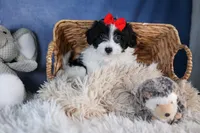 processed/9127ef0f-f517-4913-b7cd-c6d0c7b4a6c6/listing/4b343c47-8a7b-4c4d-8de9-ec2fd1a71558/d4ba0e74-d8d8-4a9c-b5aa-3cd5d7a2bafa