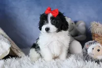 processed/9127ef0f-f517-4913-b7cd-c6d0c7b4a6c6/listing/4b343c47-8a7b-4c4d-8de9-ec2fd1a71558/feb6759a-d162-44a3-b0cd-bfe94076af02