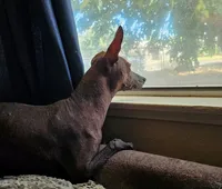 processed/9138f4cf-0a87-44d0-a1b4-3b326cb86a16/facility/2c4e39f7-0544-4b3b-bb9b-d3064ff8d563