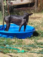 processed/9138f4cf-0a87-44d0-a1b4-3b326cb86a16/facility/2ec6e638-364d-489e-83fb-2265ece0b215