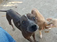 processed/9138f4cf-0a87-44d0-a1b4-3b326cb86a16/facility/382582d0-56fe-4544-a677-dbb16899bf70