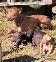 processed/9138f4cf-0a87-44d0-a1b4-3b326cb86a16/facility/9d63709c-a9f3-46fb-ae83-2b87c875547b