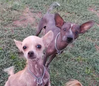 processed/9138f4cf-0a87-44d0-a1b4-3b326cb86a16/facility/a934b7a6-b819-45b5-8bc6-a6b6c274d73f