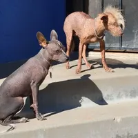 processed/9138f4cf-0a87-44d0-a1b4-3b326cb86a16/facility/c55a28d7-e071-4b7c-8c18-1f83a10141e8