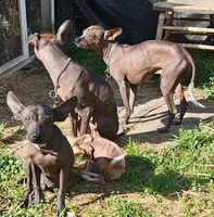 processed/9138f4cf-0a87-44d0-a1b4-3b326cb86a16/listing/8d9ba276-b18d-4663-9d49-a140c11a2ad4/07ad297a-f556-4721-854e-8167d93171a2