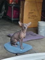 processed/9138f4cf-0a87-44d0-a1b4-3b326cb86a16/listing/8d9ba276-b18d-4663-9d49-a140c11a2ad4/41e3928a-0467-4218-aab7-4f163ab4cbc0