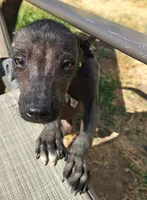 processed/9138f4cf-0a87-44d0-a1b4-3b326cb86a16/listing/8d9ba276-b18d-4663-9d49-a140c11a2ad4/432e209b-6b3d-468d-bd32-9afdee72be1e