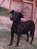 processed/9138f4cf-0a87-44d0-a1b4-3b326cb86a16/listing/8d9ba276-b18d-4663-9d49-a140c11a2ad4/855763f3-2a98-4ab3-acd0-ed67c8b4fcf0