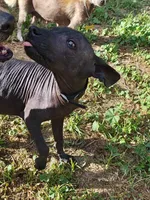 processed/9138f4cf-0a87-44d0-a1b4-3b326cb86a16/listing/8d9ba276-b18d-4663-9d49-a140c11a2ad4/e0f1c0f2-2e73-453d-89c7-36d471088d82