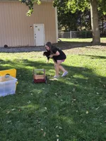 Green boy, a male Australian Shepherd for sale in Flushing, MI – 2 of 10