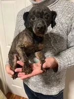 processed/9140e064-20bc-4efa-8575-049074475656/listing/930af36a-2825-46ad-9443-9ee335cddb1e/61682bbd-455c-47e9-8298-c59d69391563