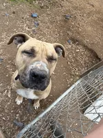 processed/914956a0-8ed5-4390-ac78-73b210e33bec/listing/9d4d34c9-f541-41bd-8e74-ff6d8ee07c5a/15766f3a-dcb4-42d2-b544-941806724753