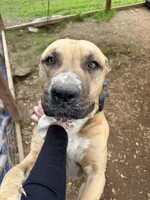 processed/914956a0-8ed5-4390-ac78-73b210e33bec/listing/9d4d34c9-f541-41bd-8e74-ff6d8ee07c5a/2bfc78c2-edb6-4966-ae7f-f6dc93c33c30