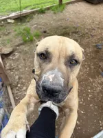 processed/914956a0-8ed5-4390-ac78-73b210e33bec/listing/9d4d34c9-f541-41bd-8e74-ff6d8ee07c5a/7f2e19f2-1fad-433a-8bd9-8f7ebcffc069