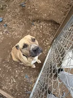 processed/914956a0-8ed5-4390-ac78-73b210e33bec/listing/9d4d34c9-f541-41bd-8e74-ff6d8ee07c5a/e478cead-70f0-44a0-9c5e-dbd34bf1fb79