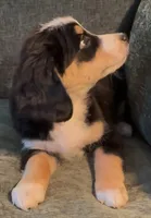 processed/914aad02-8808-4afd-845b-db048460db16/listing/2f653a0b-ccdb-46df-b365-7f924e263765/6d91005b-2635-490b-baf0-af980b64d408