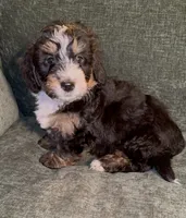 processed/914aad02-8808-4afd-845b-db048460db16/listing/6b8788d3-1036-40b2-ad8d-164547145e9f/12466332-3d76-49de-8fd0-cfb6e2ae3963