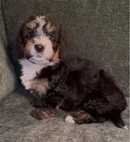 processed/914aad02-8808-4afd-845b-db048460db16/listing/6b8788d3-1036-40b2-ad8d-164547145e9f/42b5da8d-2d00-47d9-8fe1-b3e0de77b52c