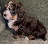 processed/914aad02-8808-4afd-845b-db048460db16/listing/6b8788d3-1036-40b2-ad8d-164547145e9f/76c331e0-346c-4e0f-84ea-d76e145a569a