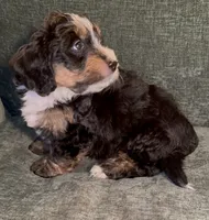 processed/914aad02-8808-4afd-845b-db048460db16/listing/6b8788d3-1036-40b2-ad8d-164547145e9f/7fba54dd-b69b-437e-90a0-ef8a7def4531