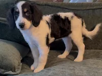 processed/914aad02-8808-4afd-845b-db048460db16/listing/ab5812e9-4eec-47d2-b95f-12718269f707/4872205a-8c10-4a1b-a4b8-312945e0d682