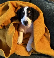 processed/914aad02-8808-4afd-845b-db048460db16/listing/ab5812e9-4eec-47d2-b95f-12718269f707/e890f013-1fc0-4972-b71c-5e9ab96d18e3