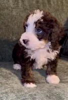 processed/914aad02-8808-4afd-845b-db048460db16/listing/afd16f1b-31b7-407a-bf83-6cba39af1152/65653813-d79e-4a22-a165-b816140940e3