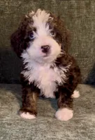 processed/914aad02-8808-4afd-845b-db048460db16/listing/afd16f1b-31b7-407a-bf83-6cba39af1152/b4e676d9-3167-4d4c-9171-08b3d772418a