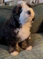 processed/914aad02-8808-4afd-845b-db048460db16/listing/c57266db-4a46-40df-8b83-741c6799422c/69c51985-74f3-4554-a1af-ce888ab56f6d