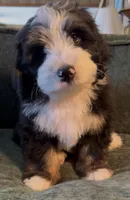 processed/914aad02-8808-4afd-845b-db048460db16/listing/c57266db-4a46-40df-8b83-741c6799422c/7272274e-4549-4b28-b586-06f720276611